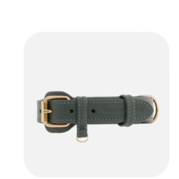 WILLIAM WALKER COLLAR LEATHER - Picture 6 of 8